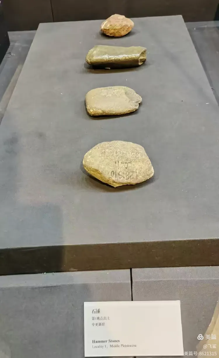 (上图:"北京人"打制石器模拟场景)(上图:石砧,第1地点出土,中更新世)